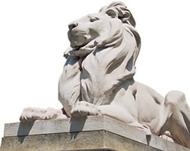 stone lion of New York Public Library